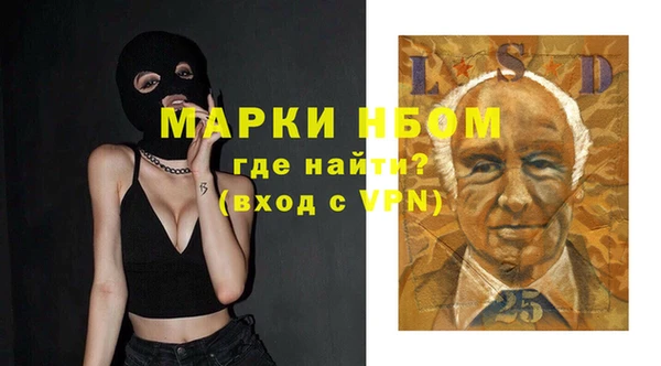PSILOCYBIN Горнозаводск