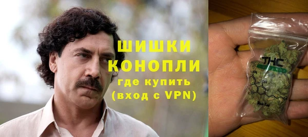 PSILOCYBIN Горнозаводск