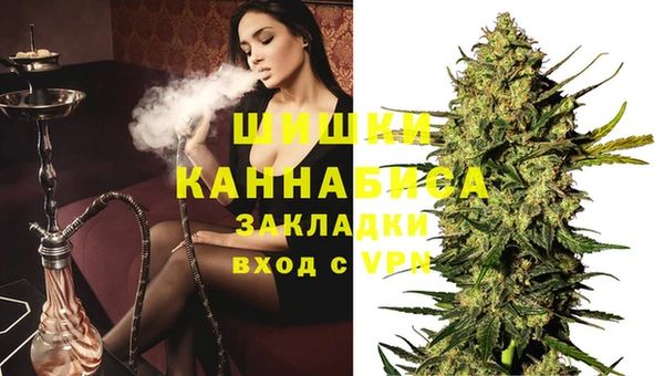 PSILOCYBIN Горнозаводск