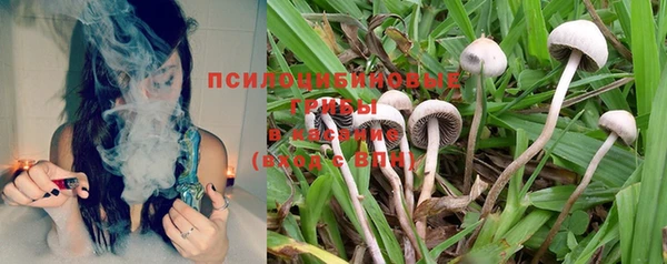 PSILOCYBIN Горнозаводск