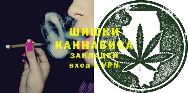 PSILOCYBIN Горнозаводск
