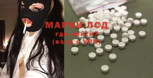 ГАЛЛЮЦИНОГЕННЫЕ ГРИБЫ Горняк
