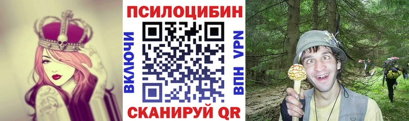 купить наркотики сайты  MEGA ССЫЛКА  Галлюциногенные грибы прущие грибы  Таганрог 